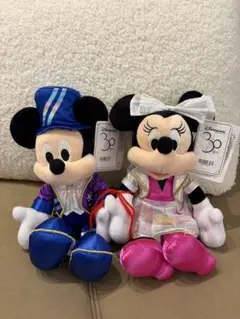 ミッキー＆ミニー ぬいぐるみセット　ディズニー　パリ　30周年　ディズニーランド