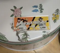 【即購入OK】ジャイアンツ&ホークス コラボキーホルダー(田中瑛斗・上沢直之)