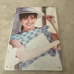 未開封　南野陽子　オマージュアルミプレートブリキ看板