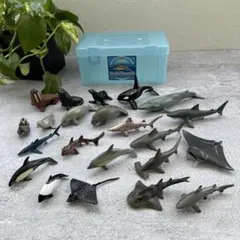 カロラータCOLORATA 立体図鑑 深海生物プレミアムボックス - メルカリ