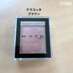 ケイト ザアイカラー 049　テラコッタブラウン