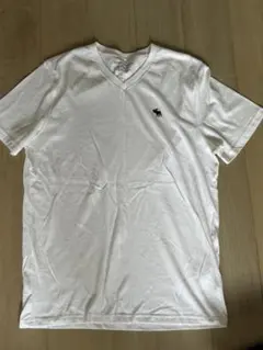 【新品】Abercrombie & Fitch VネックTシャツ L