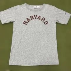 Item thumbnail for item 080c228f-31da-4cef-a886-87f7fe60d837