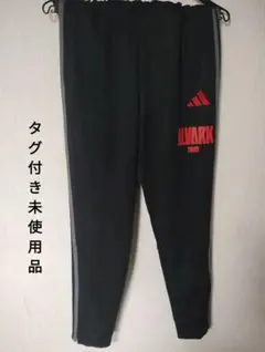 アルバルク東京 ウォームアップパンツ Lサイズ