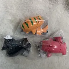 サメジャー シャチ　シュモクザメ ネコザメ