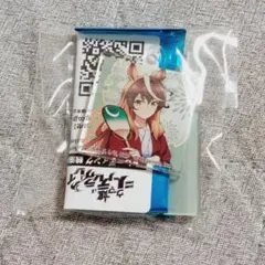 【匿名配送】ウマ娘シンデレラグレイ　極楽湯 銭湯錠キーホルダー　シンボリルドルフ