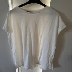 Item thumbnail for item 7c07ddbe-ca47-4e30-993b-cea3a2e96e05