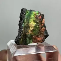 【レア】アンモライト　カナダ産　24×24×4mm