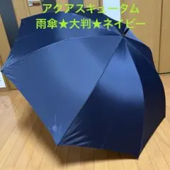 激レア】【当時物】【美品】アクアプラスAQUAPLUS 2013年 カレンダー