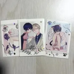 ナカまであいして ぱしゃコレ3枚セット