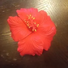 ハイビスカス ヘアアクセサリー 赤
