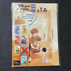 ハイキュー　ポストカード　セット　A5