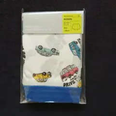 Item thumbnail for item c791f995-7708-4de0-8a13-ad0818d89c80