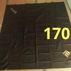 Item thumbnail for item 23233843-ded4-4537-b462-9ed71b0e3719