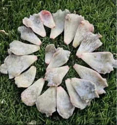 2025年最新】クリスペートビューティの人気アイテム - メルカリ