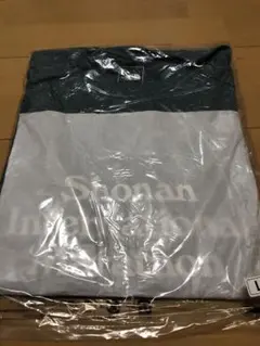 Item thumbnail for item 373b231c-51b6-488d-96cd-098fcc692885