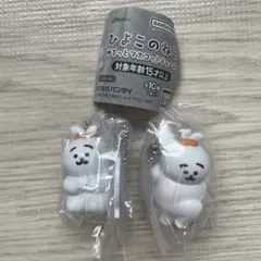 ひよこのねこ　匿名配送