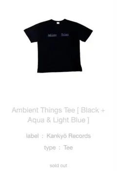 【希少】環境レコードkankyorecordsTシャツambientthings