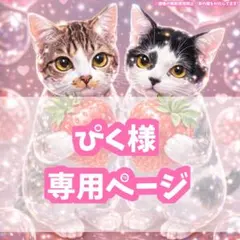 ぴく様 専用ページ‪‪❤︎‬