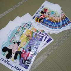 新品 未使用　東京ディズニーリゾート ショップ袋　12枚セット　ショッパーのサムネイル