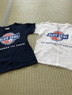 ブルーシール Tシャツ2枚セット(110cm)