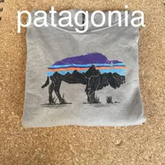 patagonia♪ 裏起毛パーカー
