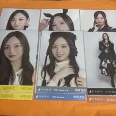 乃木坂46 生写真　梅澤美波　12枚まとめ売り スペシャル衣装 不道徳 干支