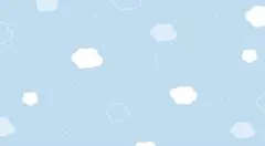 専用