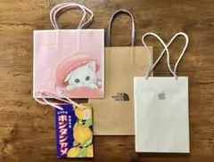 Apple &DALLOYAU &ザ・ノースフェイス　ショップ袋セット　送料込みのサムネイル
