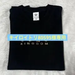 キイロイトリ80595 専用 3JSB KINGDOM Tシャツ Mサイズ 黒