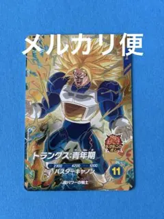 SDV 5-016 トランクス：青年期