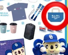 2025年最新】ドラゴンズ 福袋の人気アイテム - メルカリ