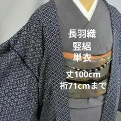 長羽織 単衣 変わり紗 ボカシ 正絹 - メルカリ