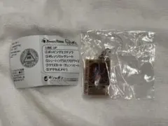 仮面ライダー剣 めじるしアクセサリー2 ラウズカード