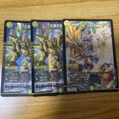 神聖龍 エモーショナルハードコアのサムネイル