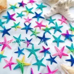 カラフル スターフィッシュ ミニヒトデ　レジン ハーバリウム 加工 ヒトデ スターフィッシュ 海 ハーバリウム レジン アレンジメント