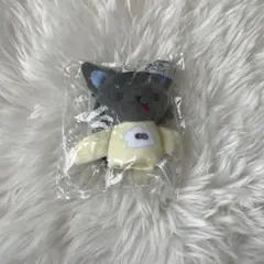 【新品・未開封】 JOCHUM 指人形 ピーハイ 金城碧海