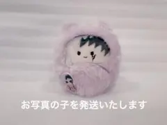 Dr.STONE くるみたぴぬい　GIGO あさぎりゲン