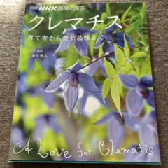 クレマチス 育て方と最新品種まで