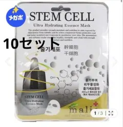 STEM CELL 幹細胞　シートマスク　10枚セット