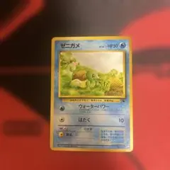 2026年最新】イントロ ゼニガメの人気アイテム - メルカリ