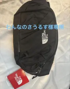 わんなのさうるす様専用　THE NORTH FACE オリオン