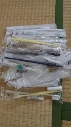 ホテルアメニティ歯ブラシset