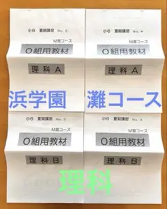 浜学園 小6 M灘コース 夏期講習 算数.国語.理科 - メルカリ
