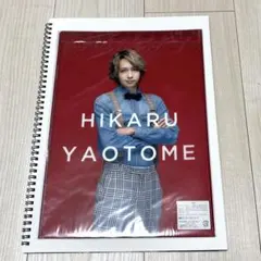 薔薇と白鳥 クリアファイル 髙木雄也 八乙女光