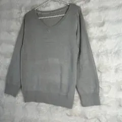 BE RADIANCE 花柄刺繍 グレーニット Vネック フリーサイズ