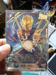 孫悟飯:青年期　パラレル　FB08-012