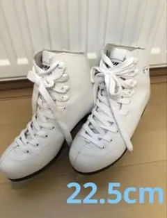 Item thumbnail for item 523a37a2-53ed-41ae-b12b-96a4b677546c