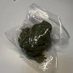 カエル　緑　海外スクイーズ