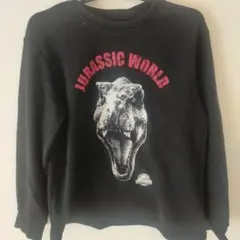 ジュラシック・ワールド トレーナー 黒
